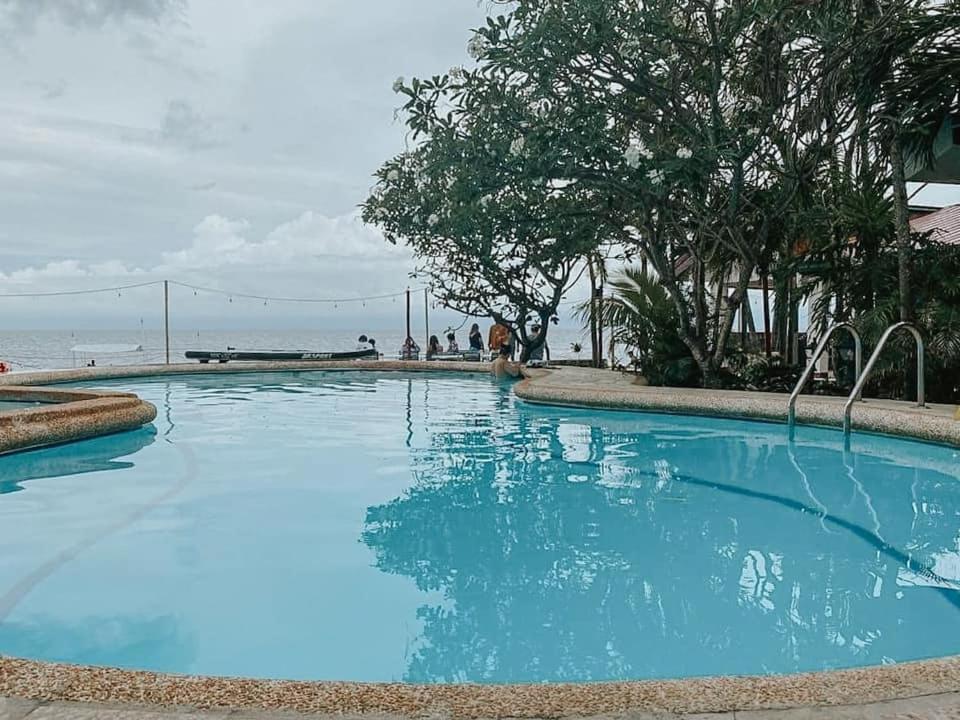 Marina Village Moalboal Kültér fotó