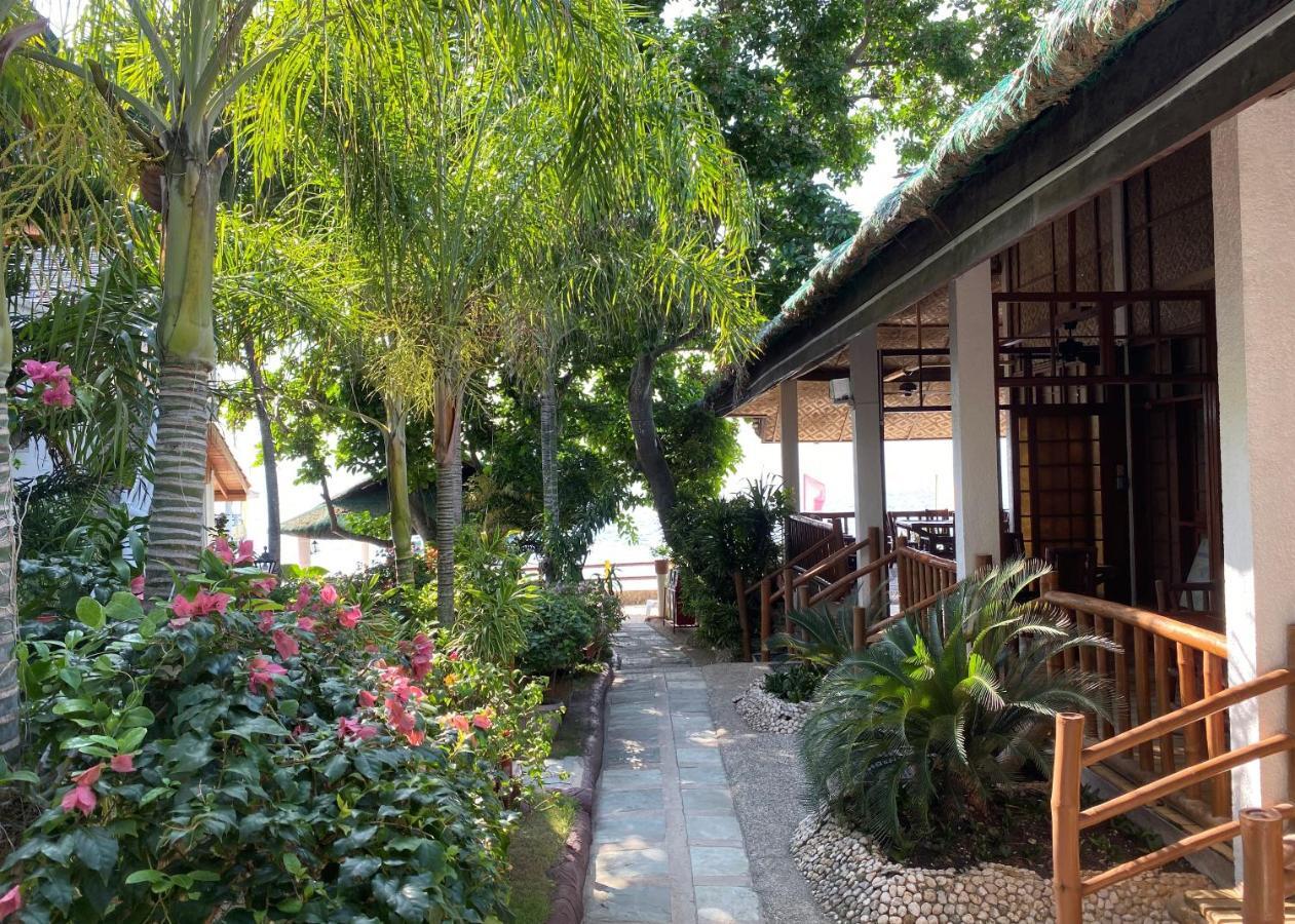 Marina Village Moalboal Kültér fotó